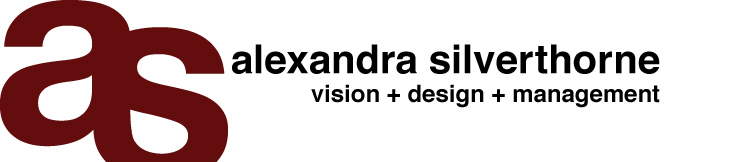 SilverVisionDC: vision + design + management